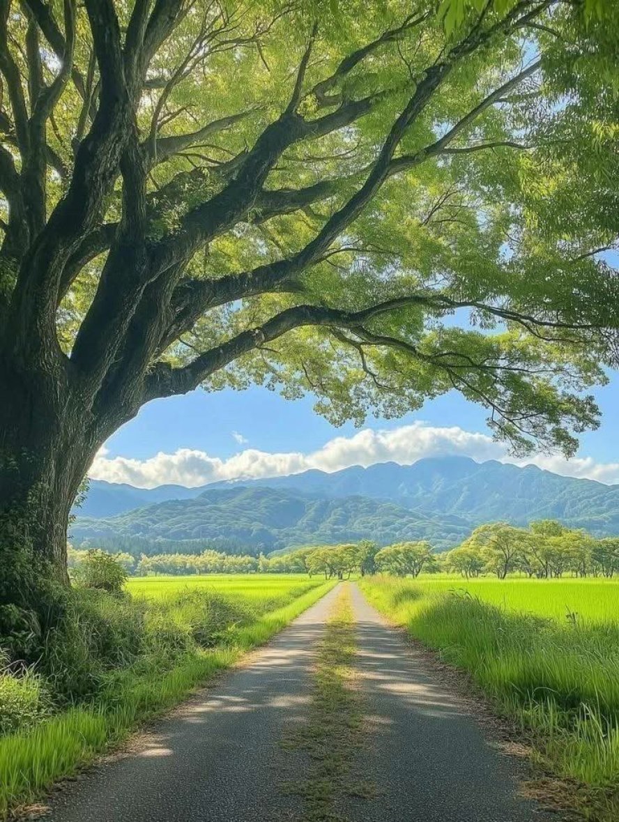 Perspective